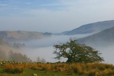 304 MISTY CLYWEDOG.jpg